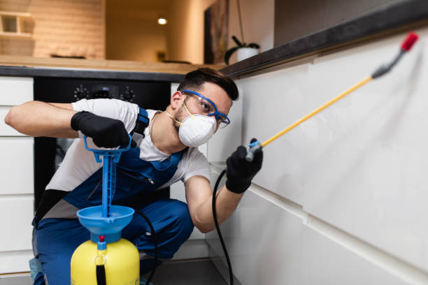 Best Pest Inspection Near Me  in New Canaan, CT
