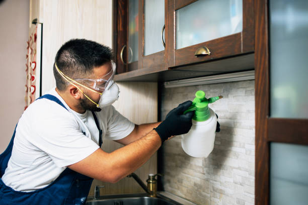  New Canaan, CT Pest Control Pros