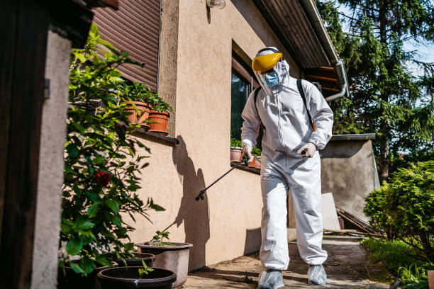 Wasp Removal Services in New Canaan, CT