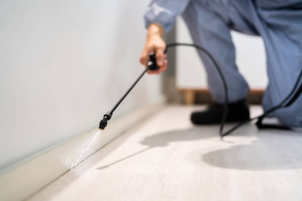 Flea Control Services in New Canaan, CT