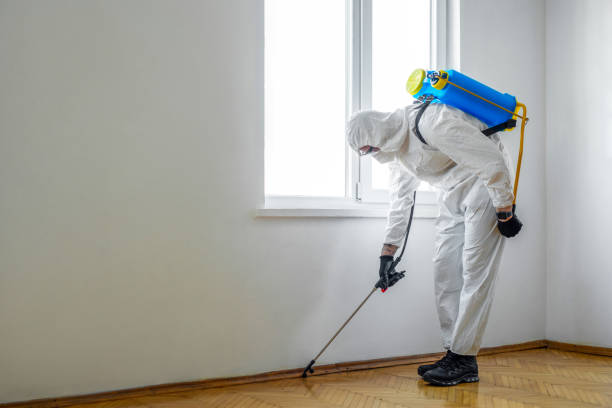 Best Pest Control for Restaurants  in New Canaan, CT