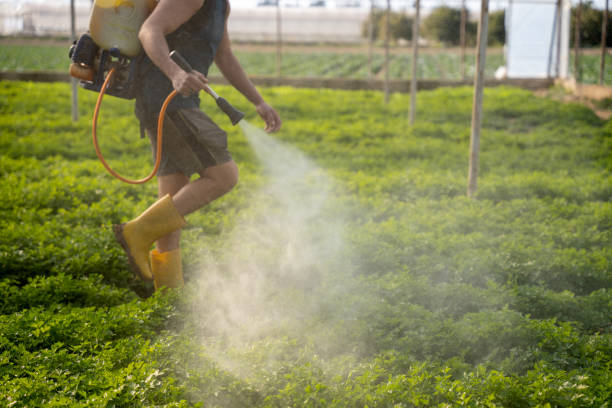 Best Local Pest Control Services  in New Canaan, CT