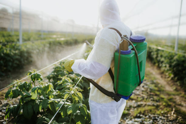 Best Emergency Pest Control  in New Canaan, CT